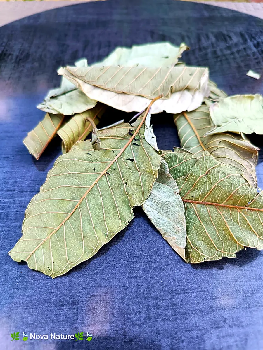 Bay leaves