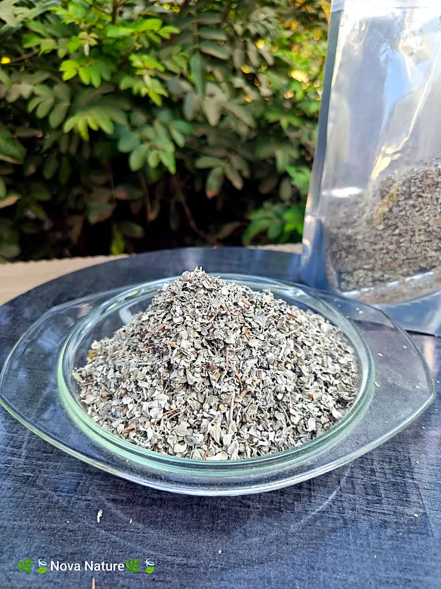 Seeds close-up
